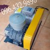 máy sục khí veratti gồm đầu sục và động cơ