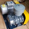 máy sục khí veratti gồm đầu sục và động cơ