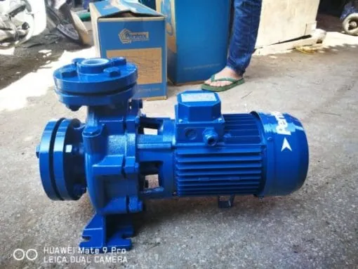 Bơm Đài Loan Cho Nông Nghiệp: Chọn Đúng Theo Nguồn Nước