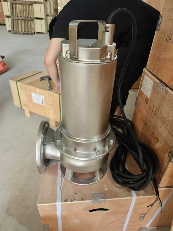Chi tiết phớt và gioăng trên bơm chìm inox