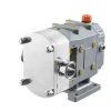 Bơm thực phẩm PEROTAC TUL bơm rotor inox
